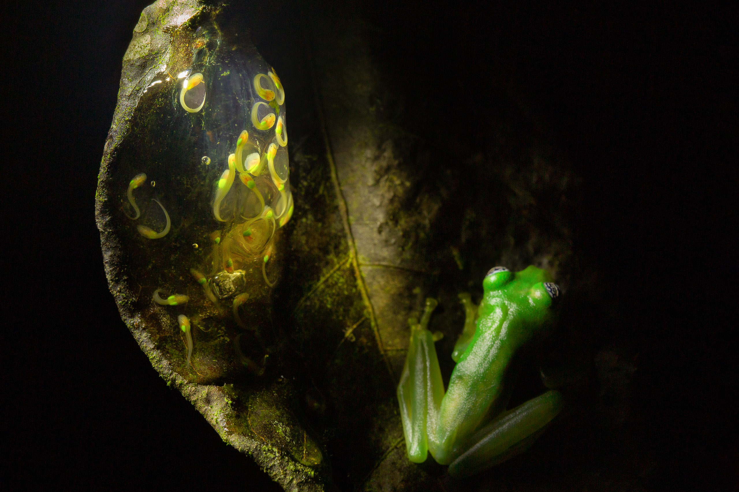 Taking care of the kids