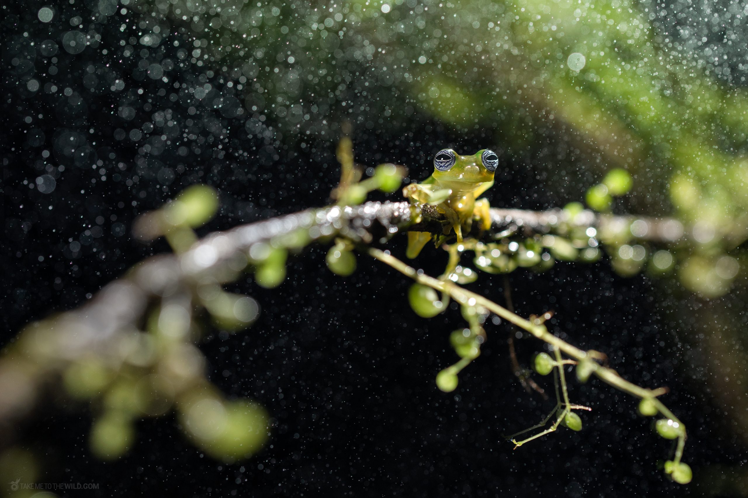 Glass under the rain scaled