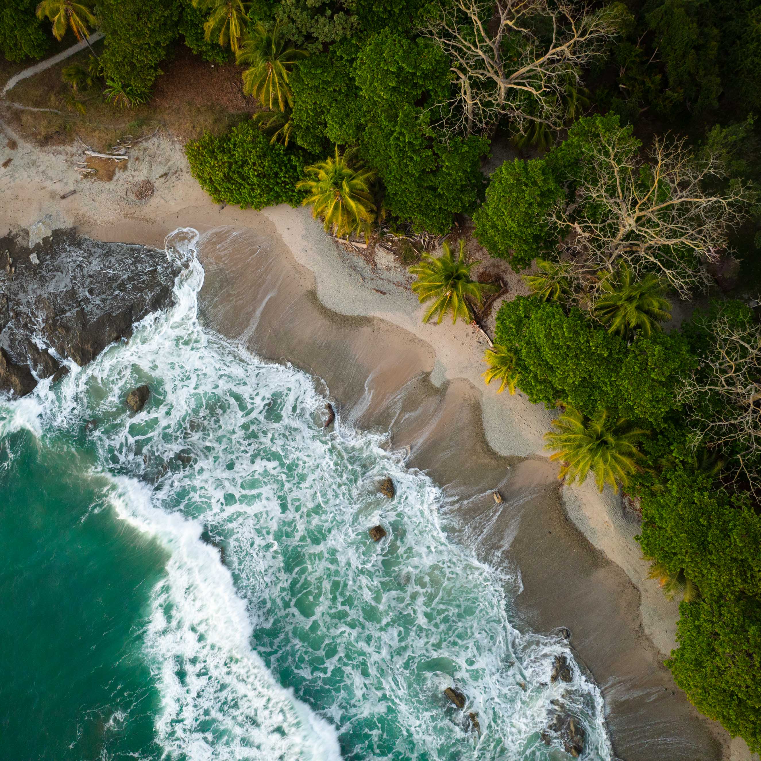 Where the ocean meets the sand