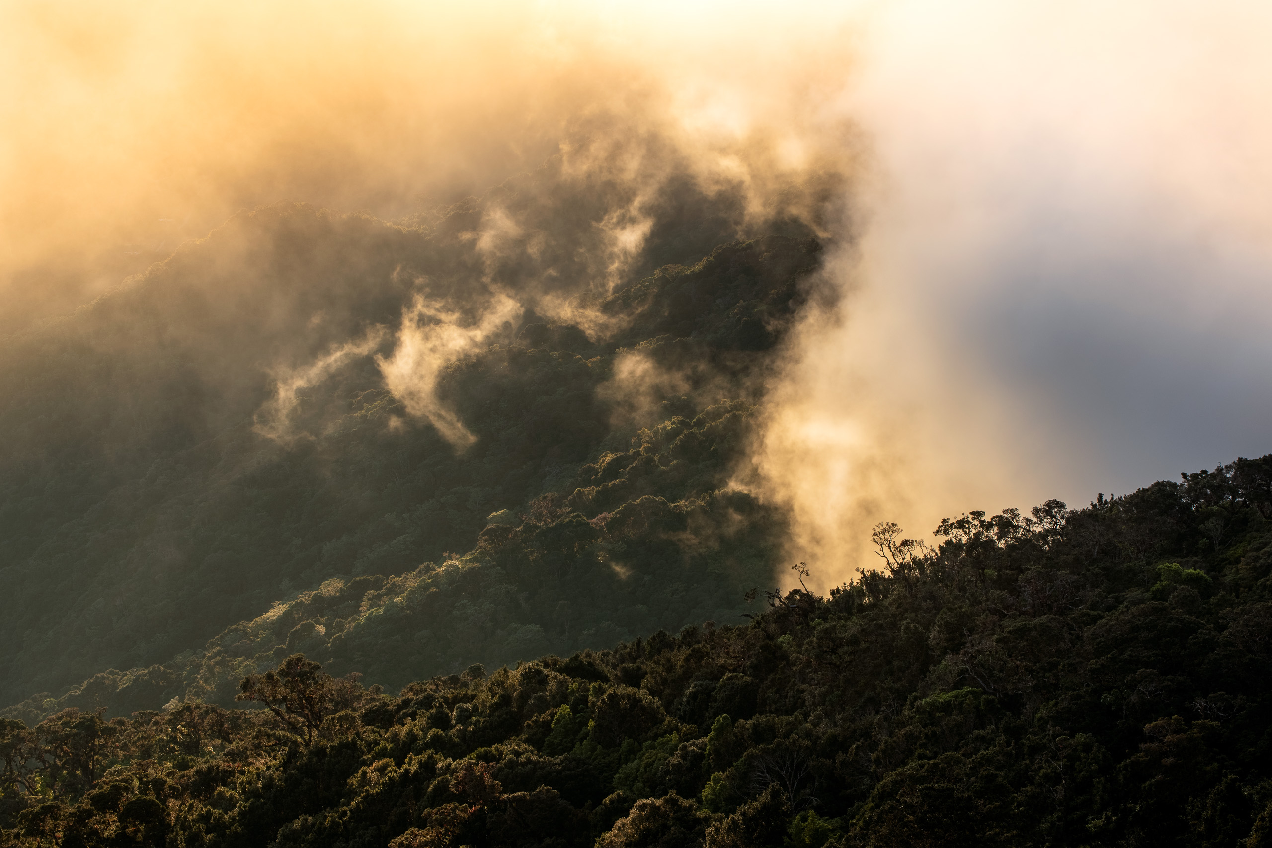 Golden Clouds Rolling In
