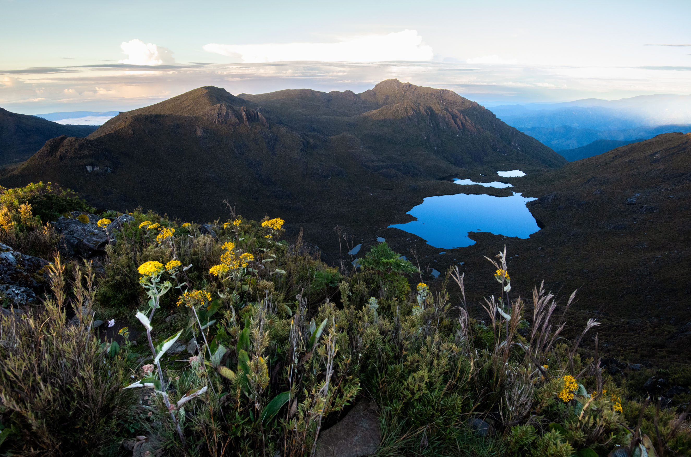 Joined by the flowers