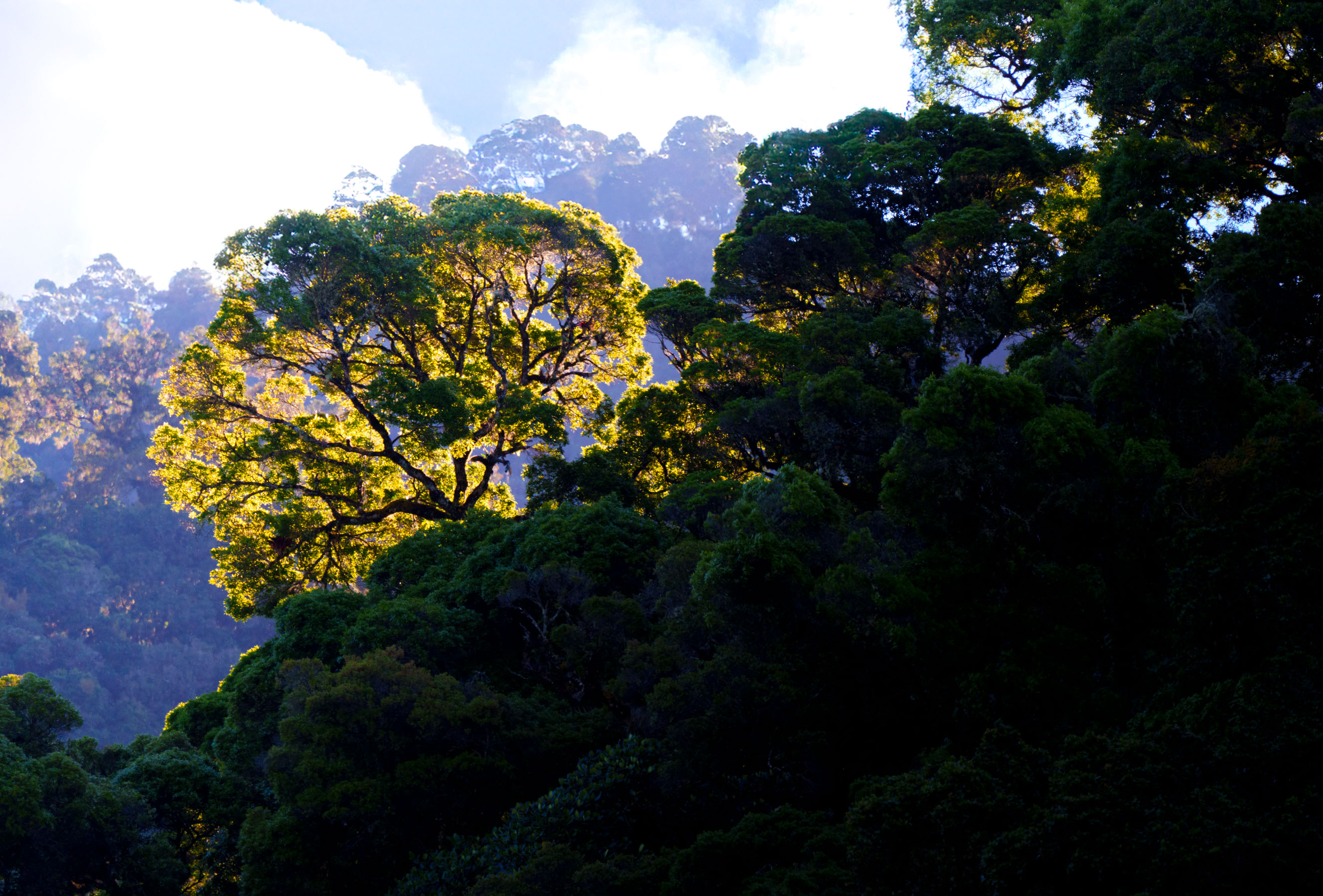 Guardian of the Clouds