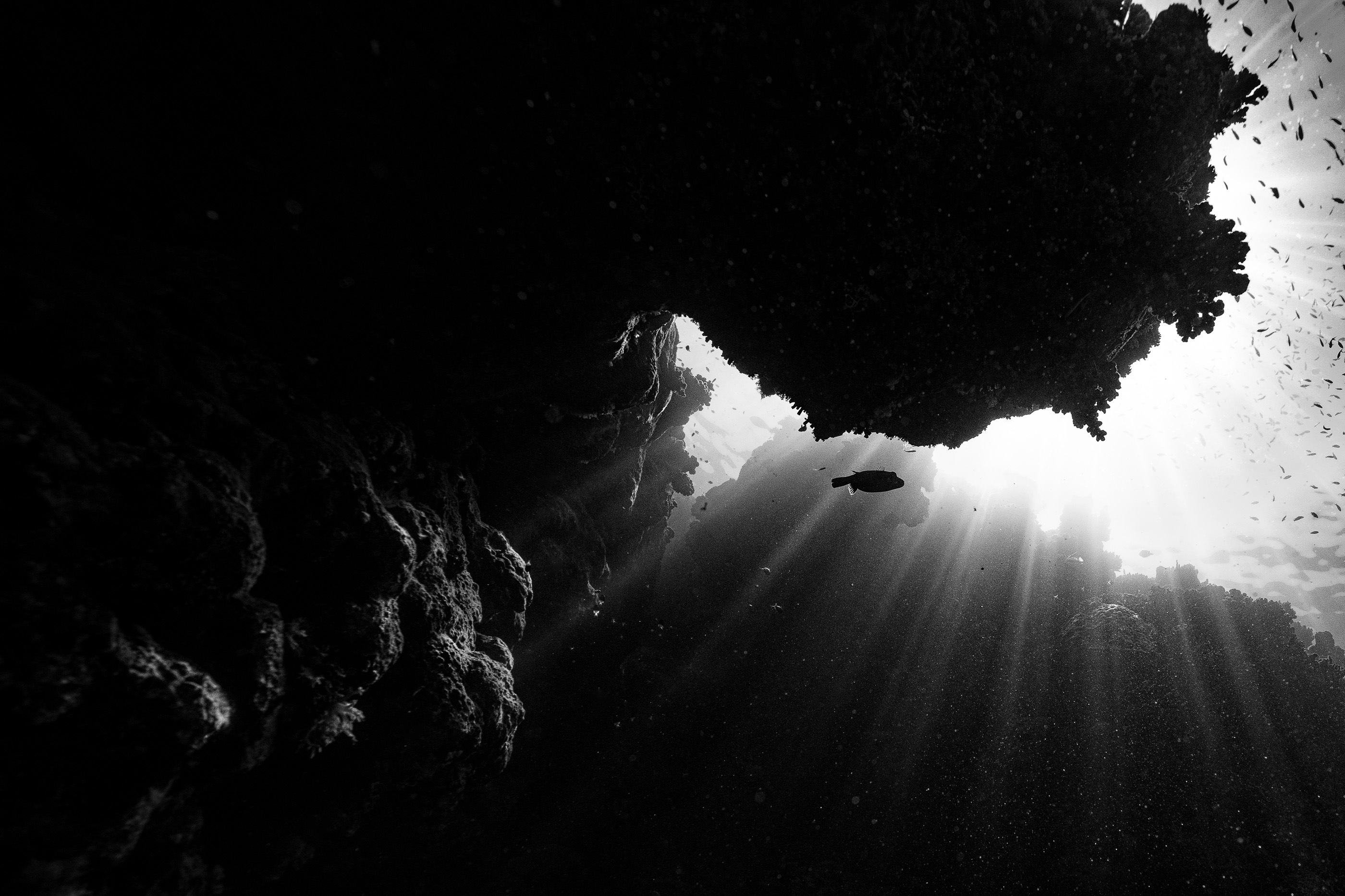 Light Cathedral — sunbeams cutting through the deep blue