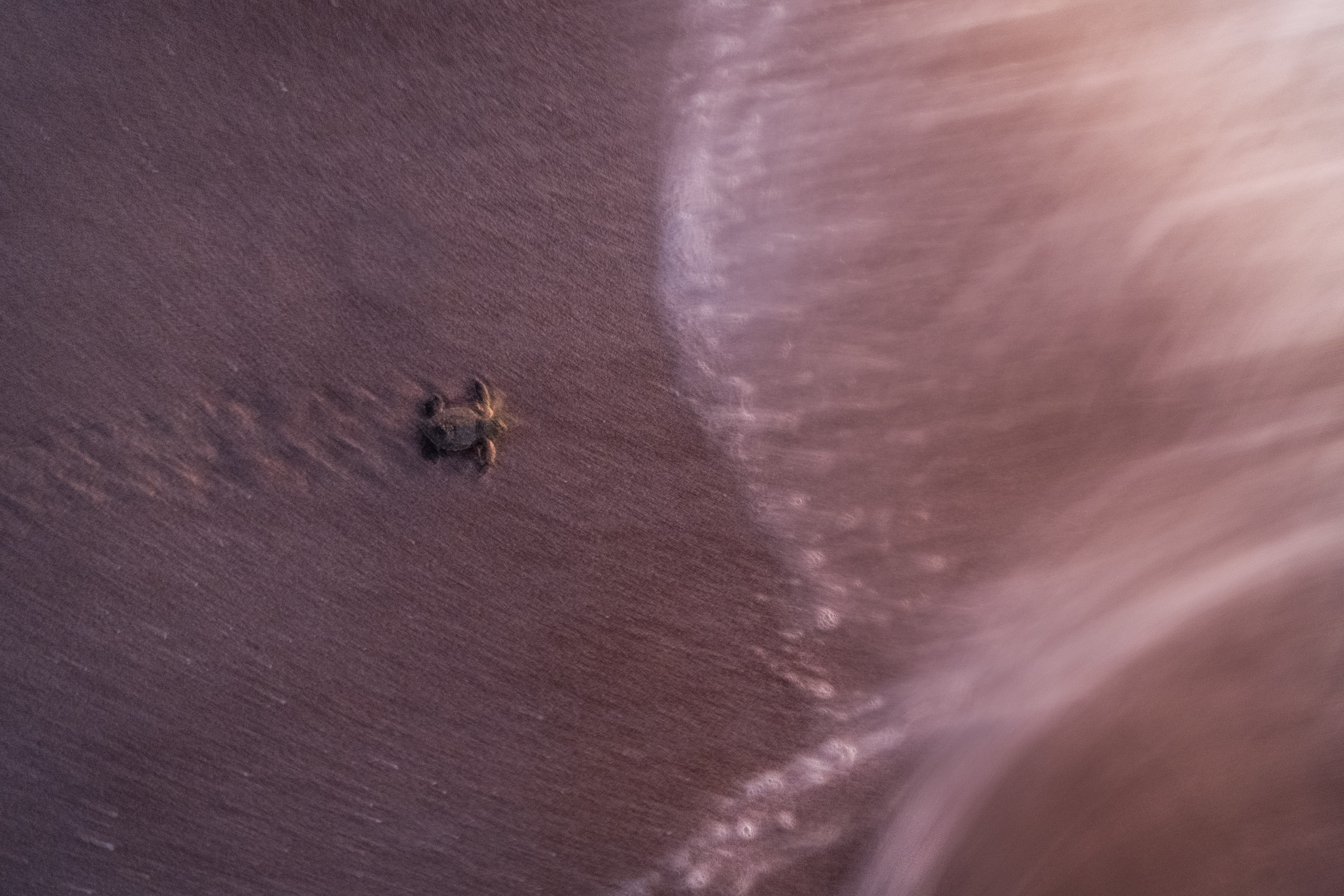 The moment — sunset over the sea