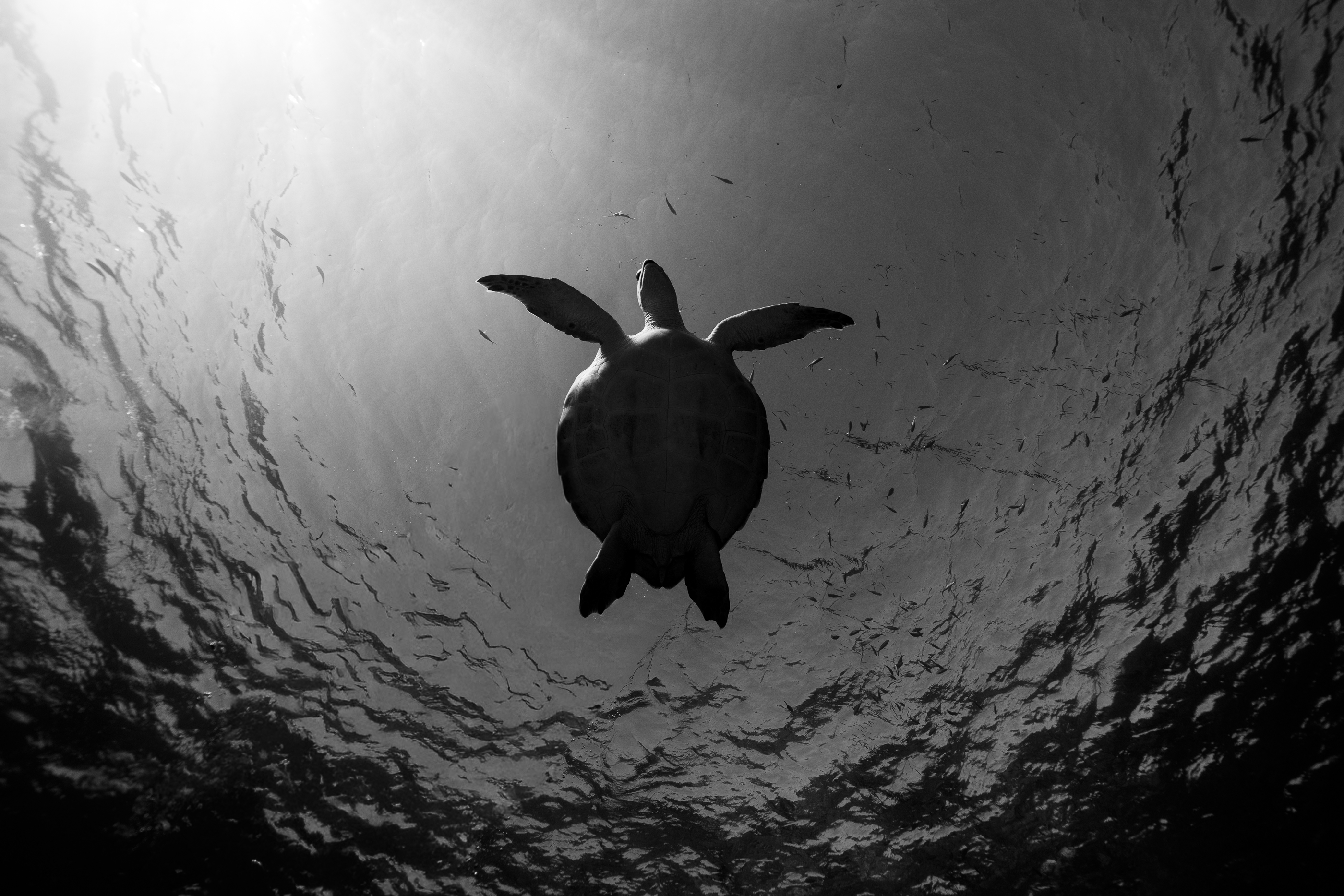 Surfacing