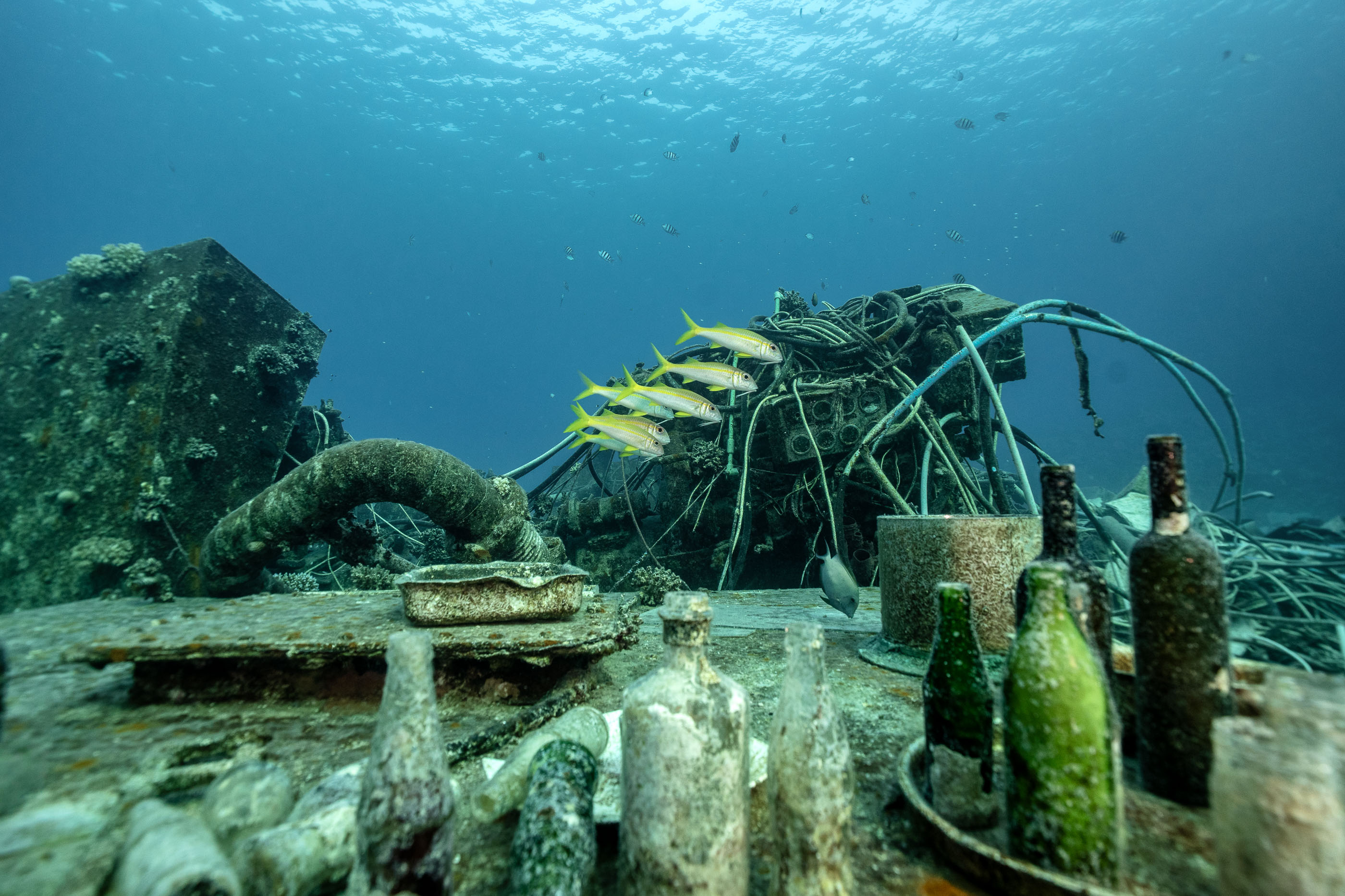 Red Sea — beauty meets debris
