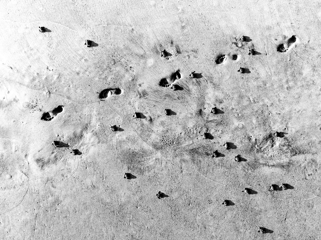 Every journey begins with a single step