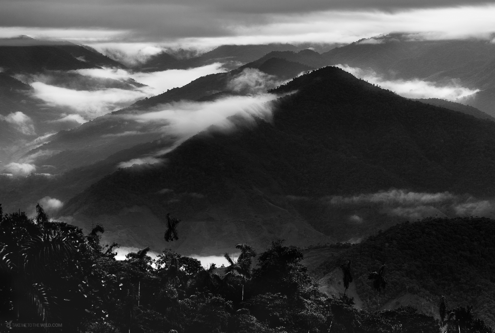 Colombian landscape at golden hour
