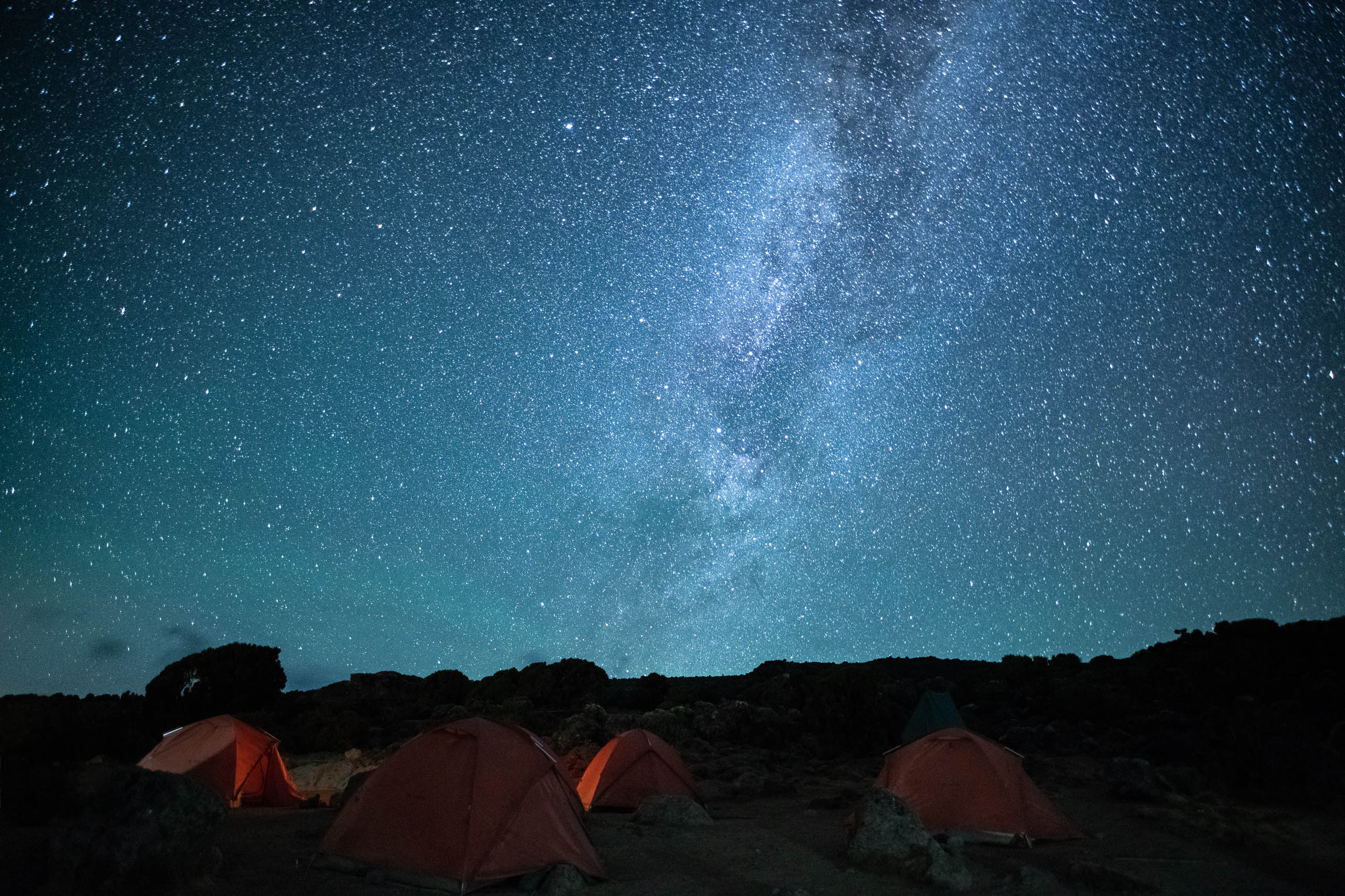 Camp in the alpine zone