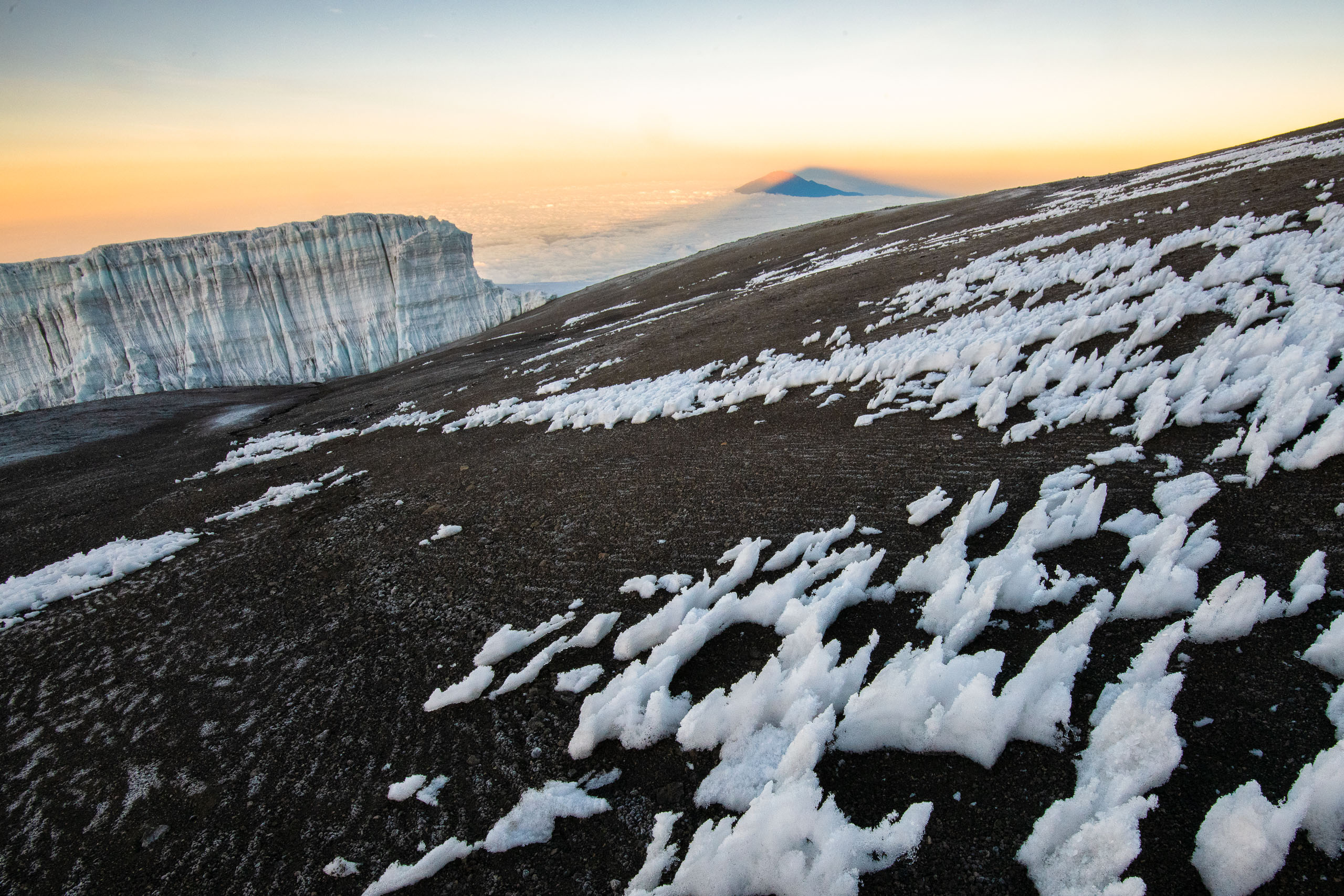 Contrasts on Kilimanjaro
