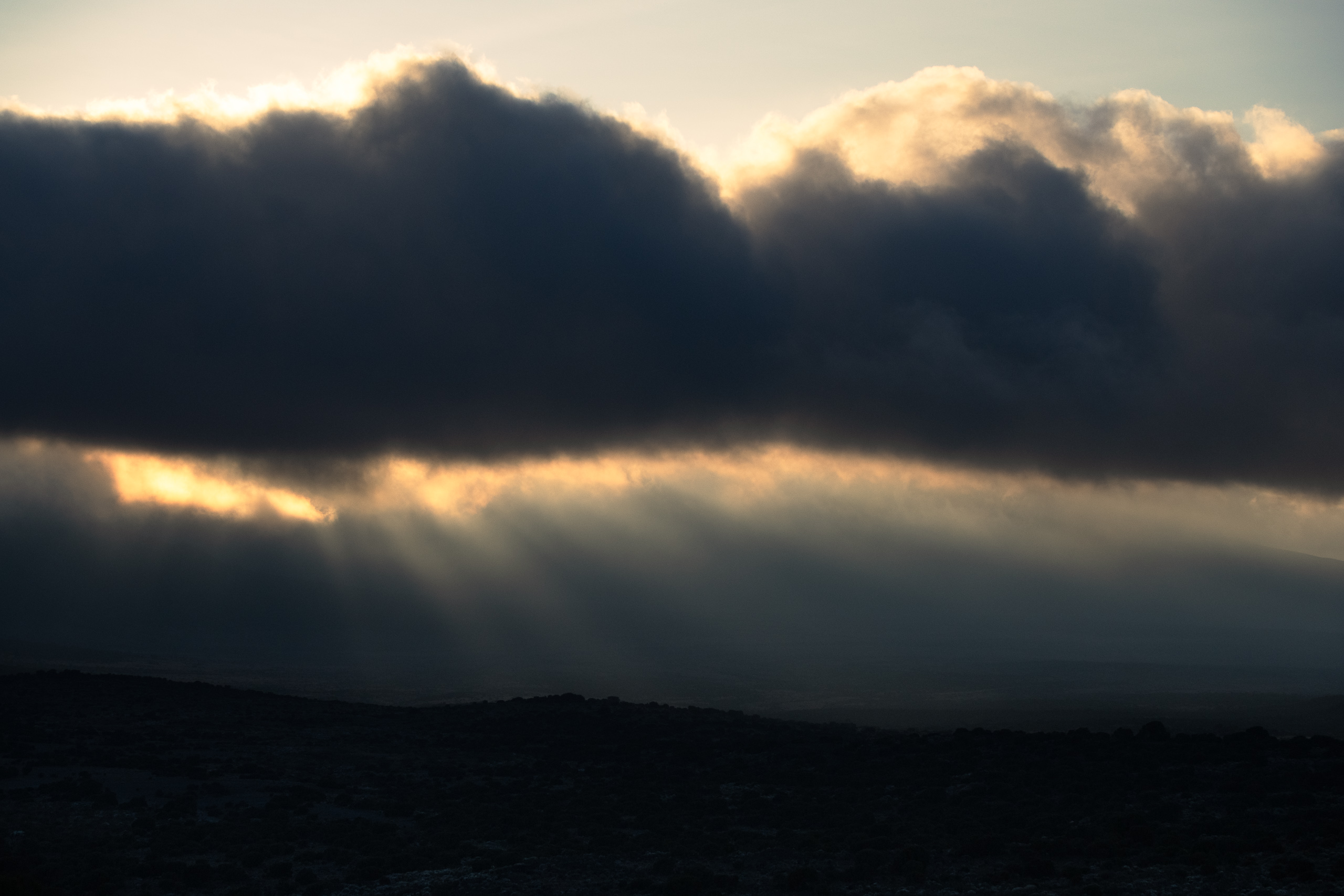 The team near the summit