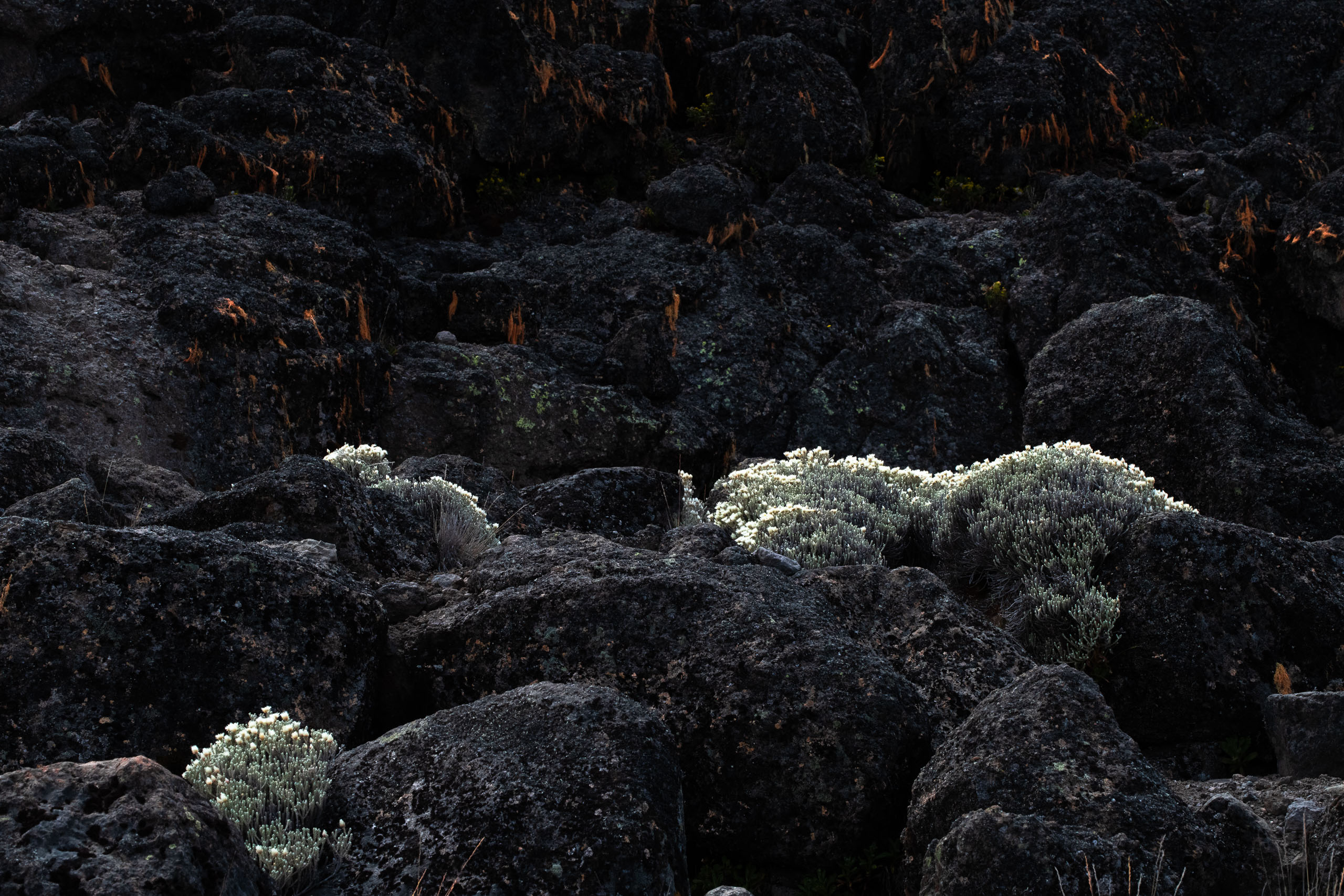 The mountain at sunset