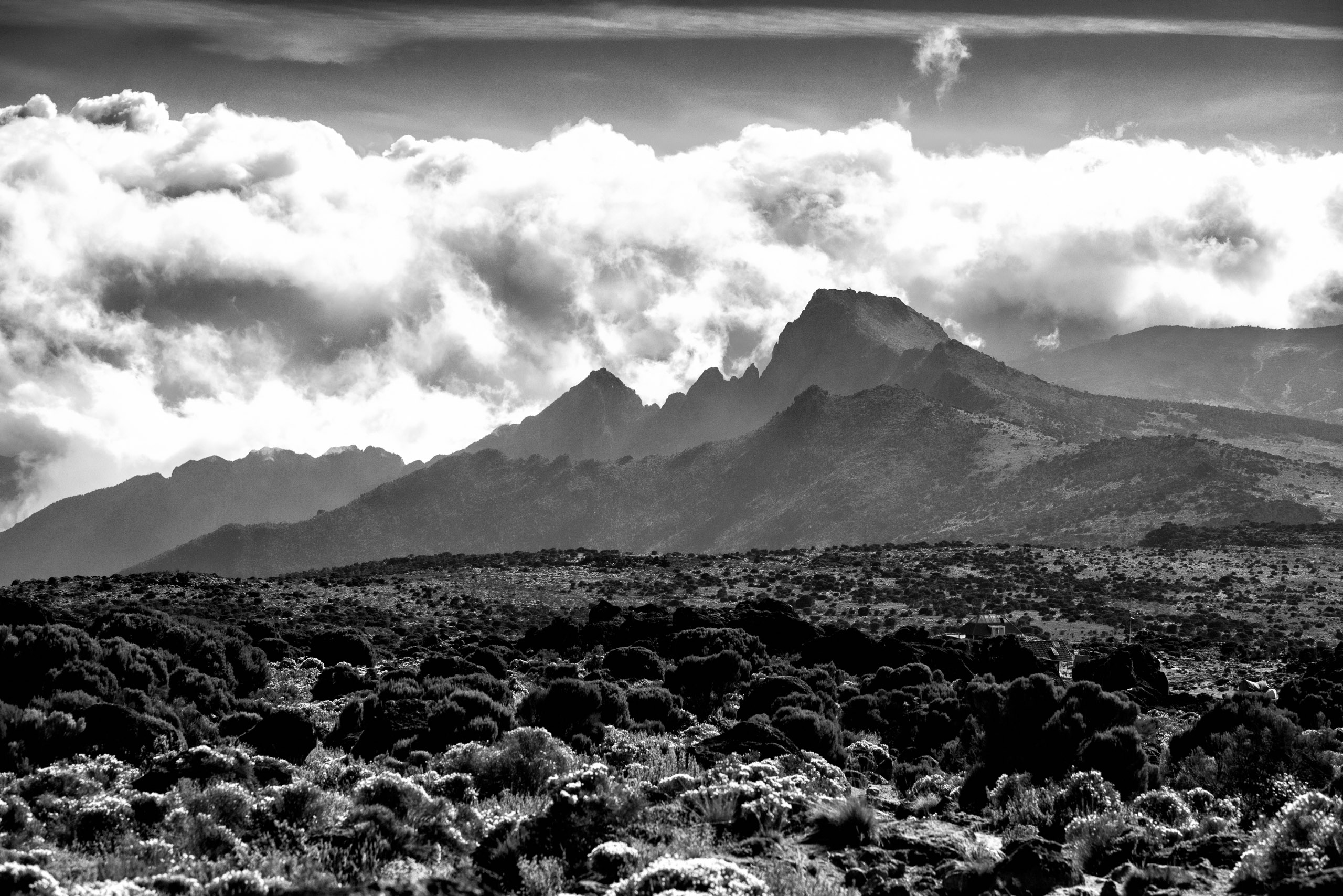 Porters on the trail