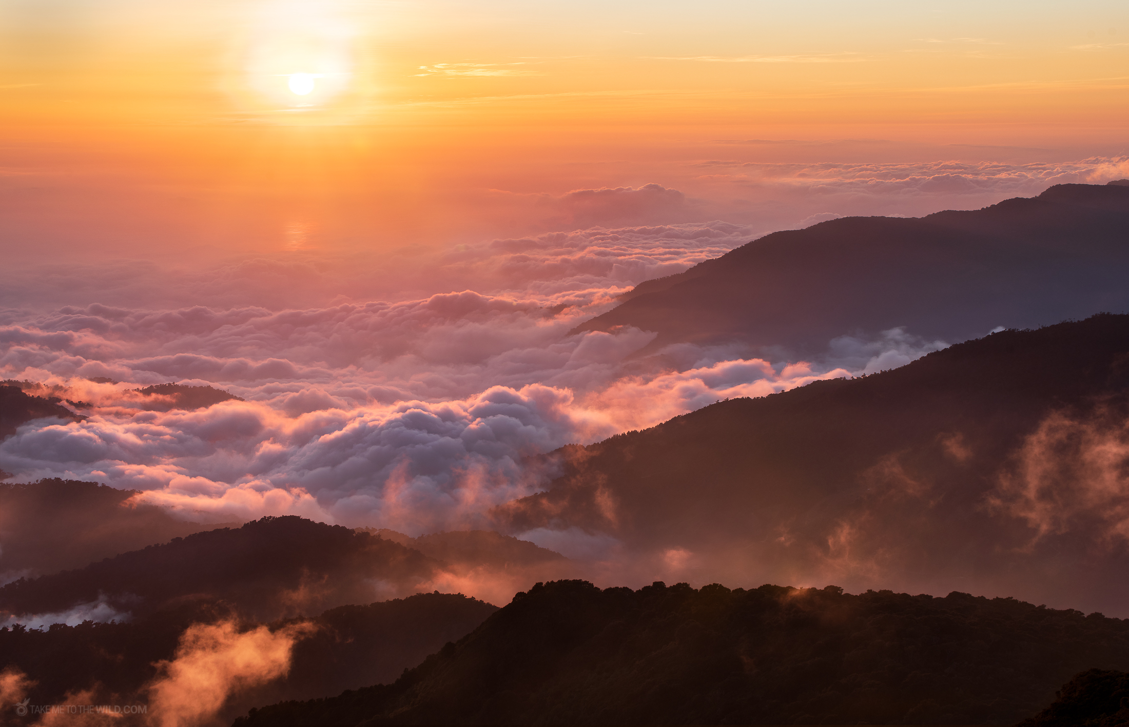 Highland sunset over the cloud forest