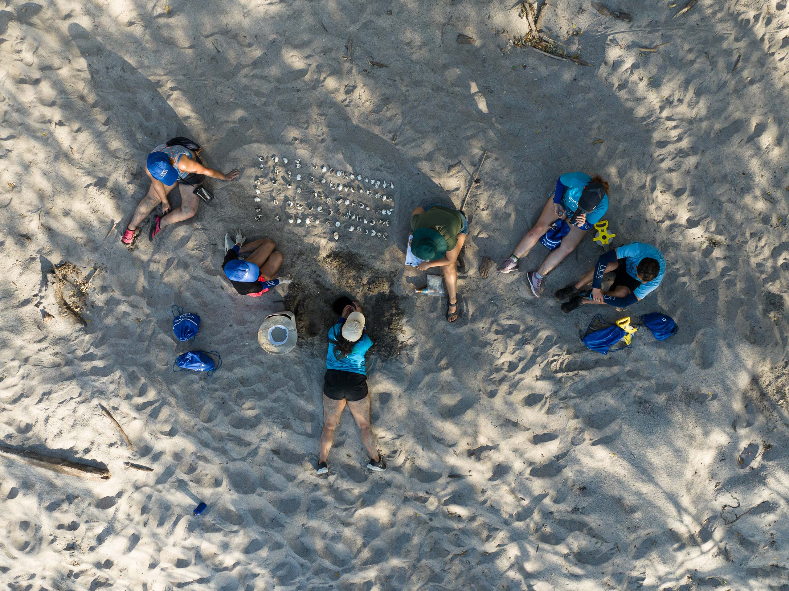 Kuemar volunteers tracking nesting data