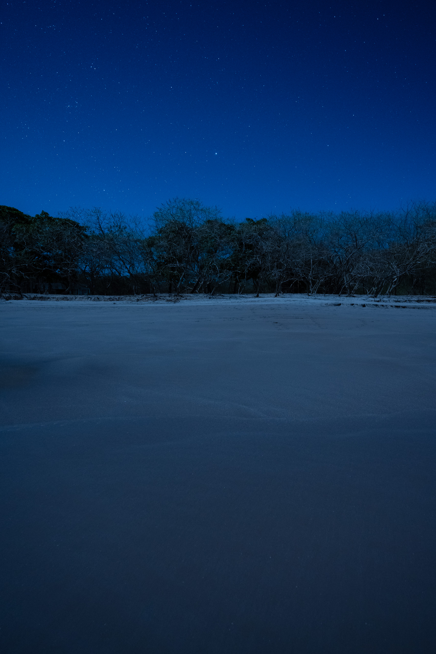 A dark beach from the air, untouched by artificial light