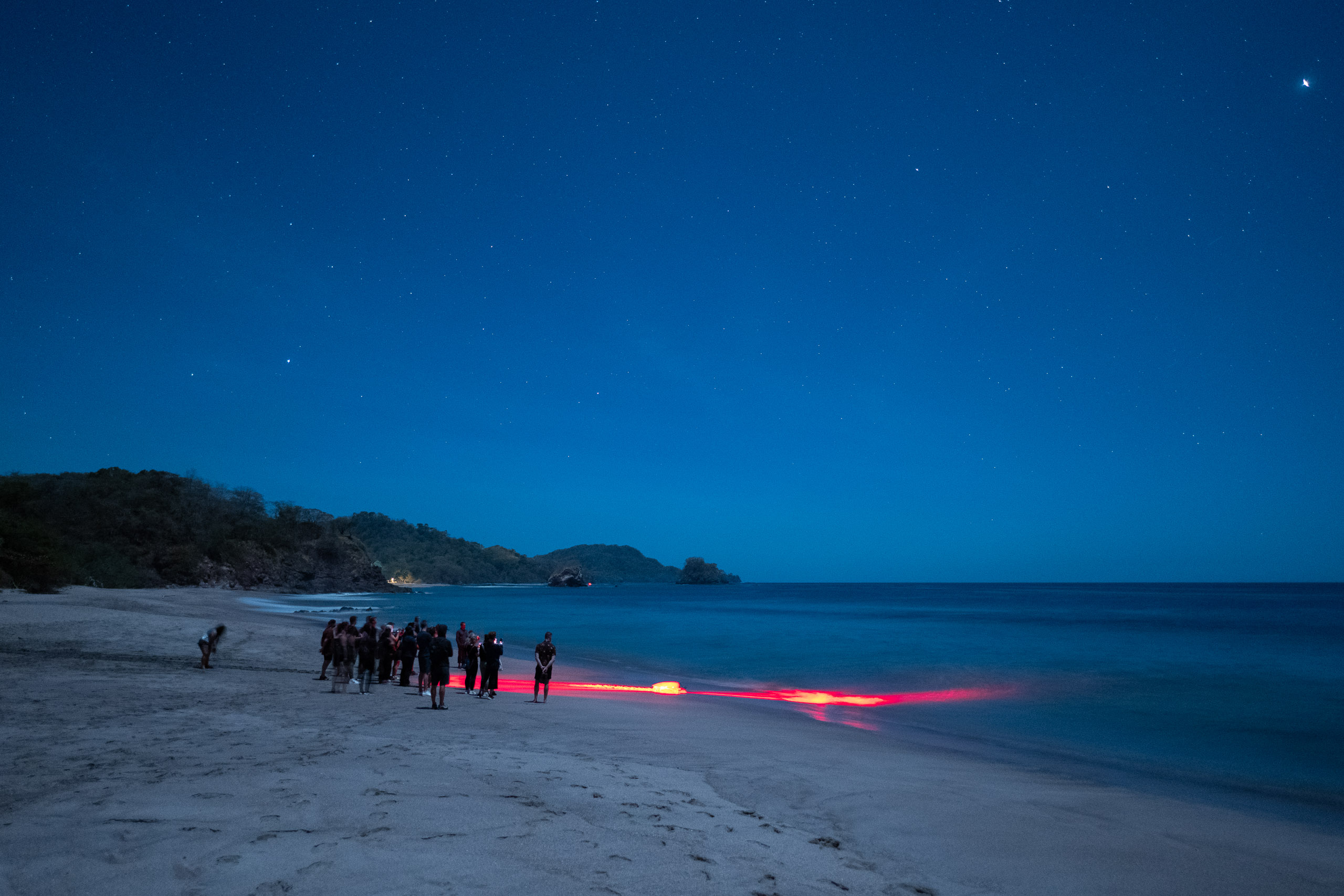 Tourists crowding a nesting turtle