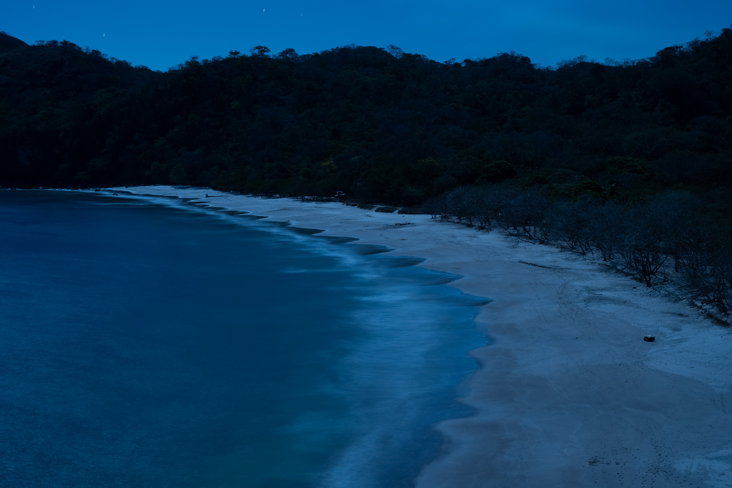 A dark, undeveloped nesting beach