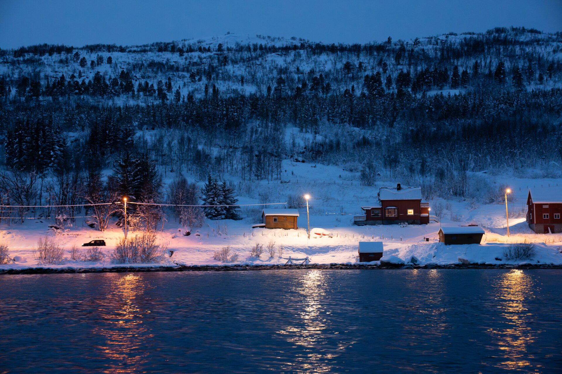 Arctic landscape at dawn