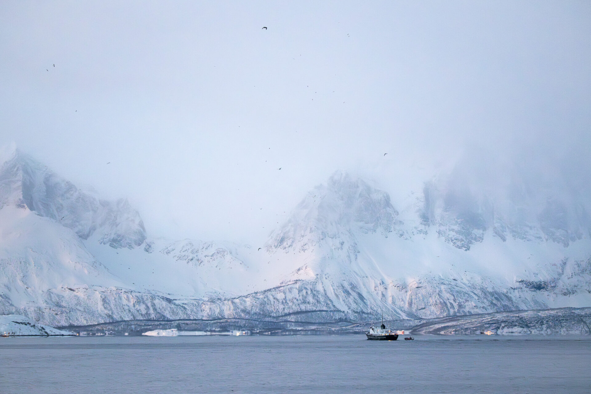 Mountains rising on both sides of the fjord